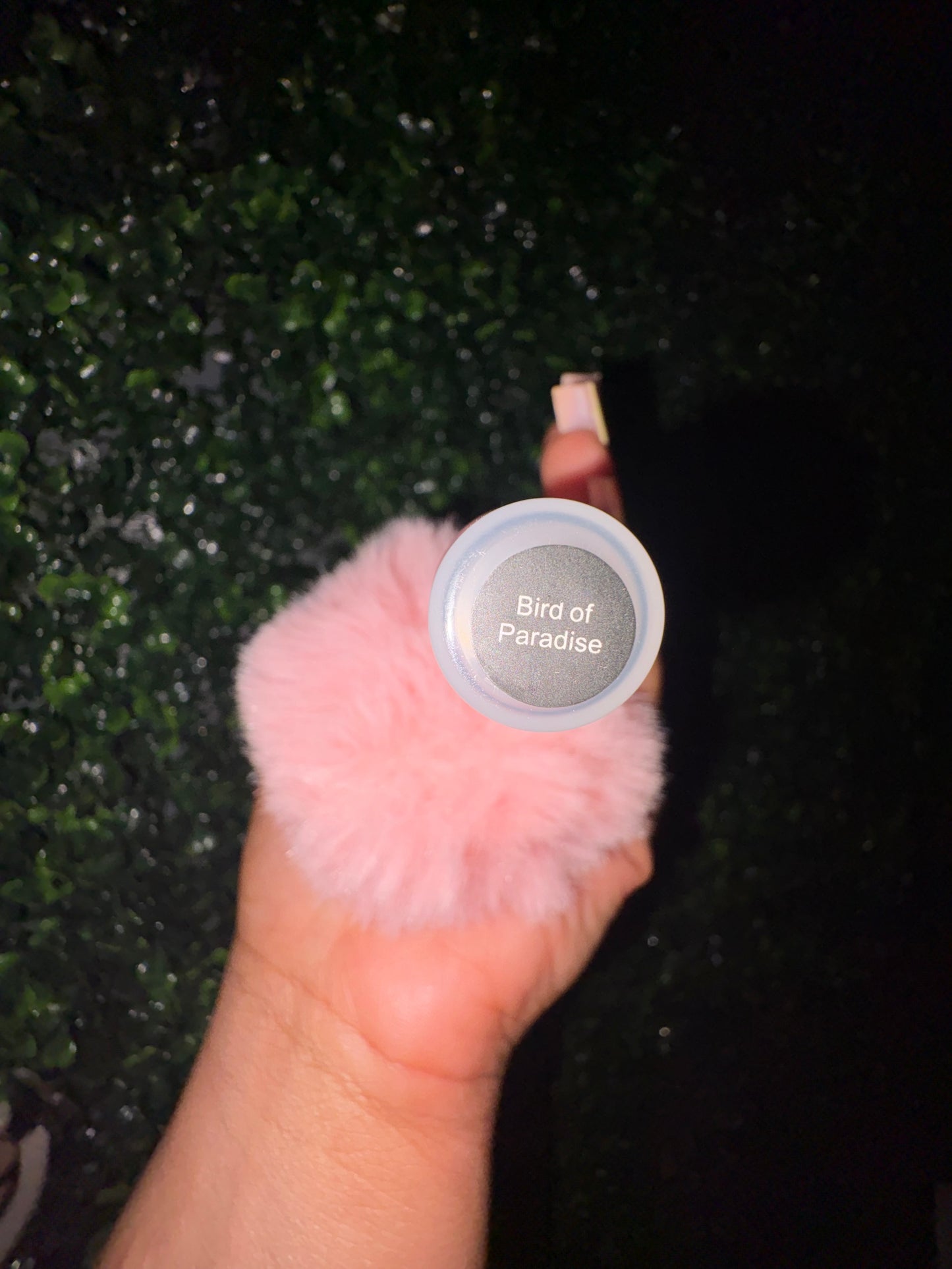 Bird Of Paradise Scented Lip Gloss w/Keychain